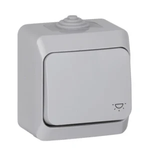 Bouton poussoir 10A Cedar Plus - Schneider